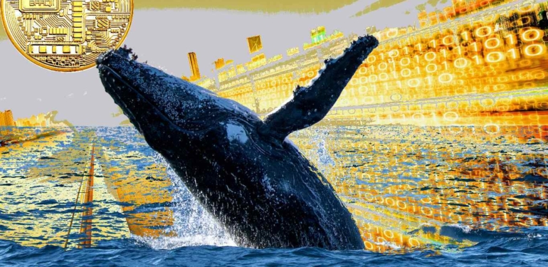 Bu Altcoin’de Balina Hareketliliği: Stoklama Çılgınlığı!