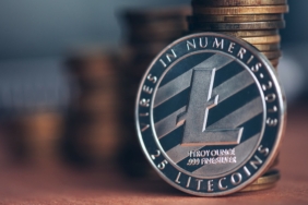 Bu Göstergeler Litecoin (LTC) Fiyat Hareketinde Boğaya İşaret Ediyor