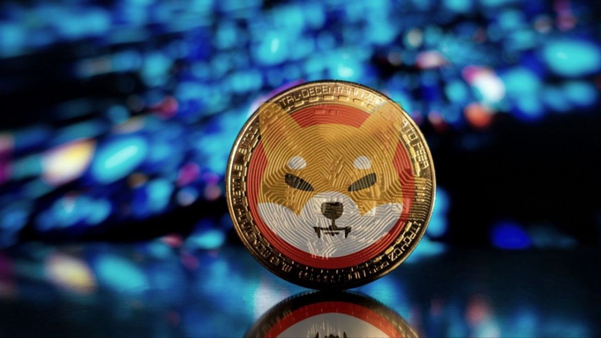 Bu Meme Coin, Fırladı: DOGE’nin Tahtı Sallanıyor!