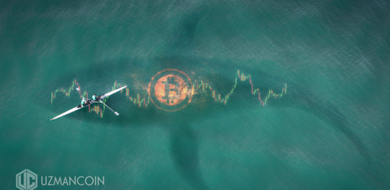 buyuk-bitcoin-balinalari-nin-sayisi-gittikce-azaliyor-2012-seviyesine-geldi - Crypto Turkey Büyük ‘Bitcoin balınaları’nın sayısı gittikçe azalıyor: 2012 seviyesine geldi