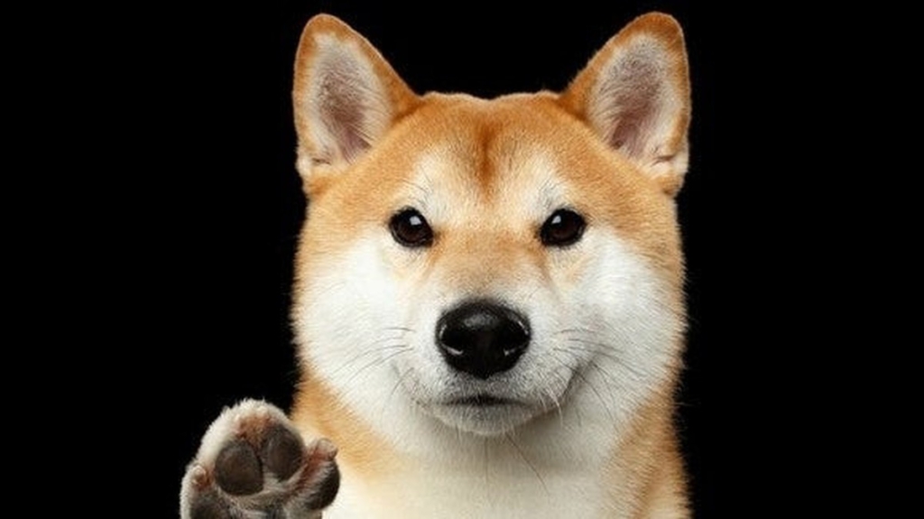 DOGE Kurucusundan Gizemli Tweet: DOGE’nin Geleceğini Gösteriyor!