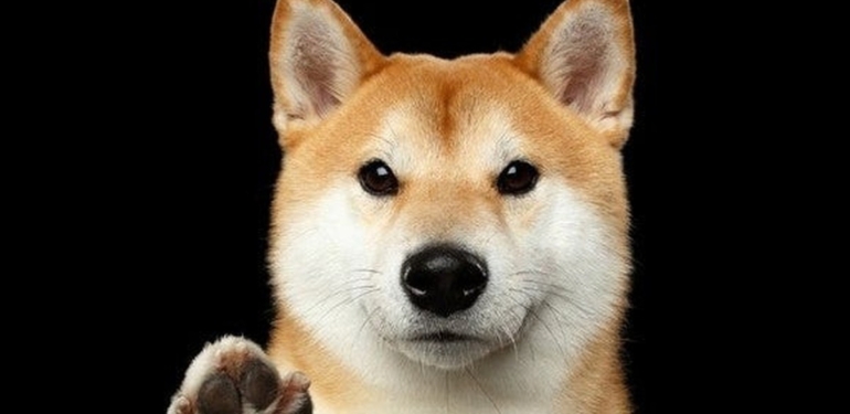 DOGE Kurucusundan Gizemli Tweet: DOGE’nin Geleceğini Gösteriyor!