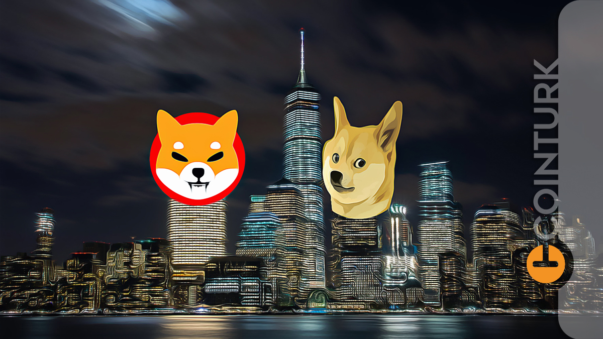 DOGE ve SHIB Fiyat Analizi: Dogecoin ve Shiba Inu Yükselen Piyasada Ne Durumda?