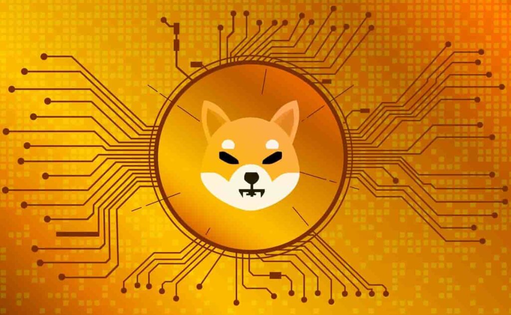 DOGE ve SHIB İçin Önemli Tahmin: Bu Seviyeler Yakında!