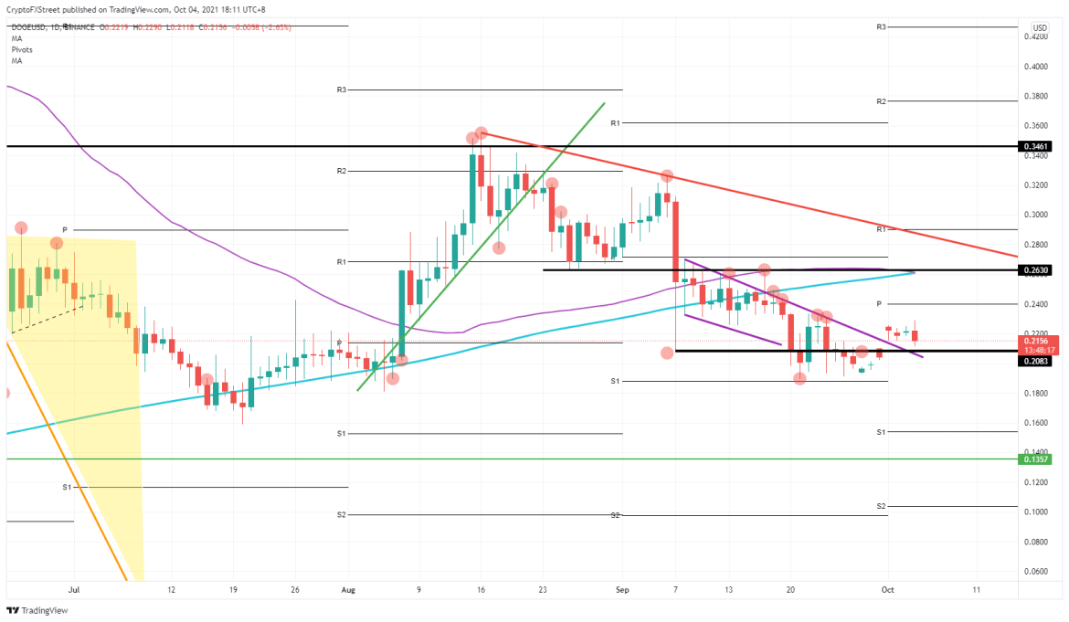 DOGE/USD daily chart