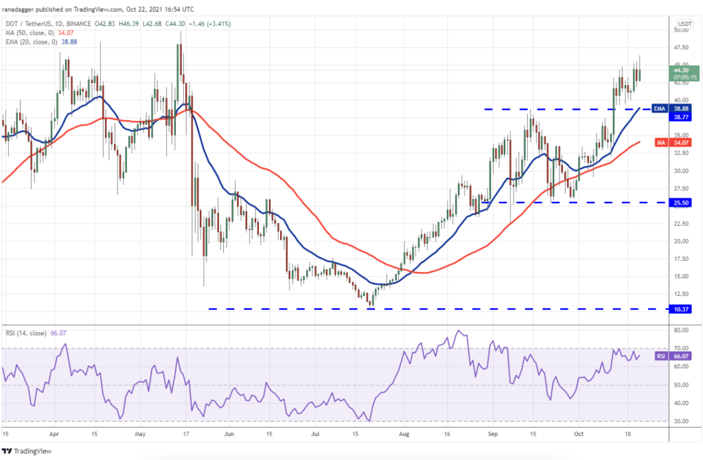 Fiyat Tahmini: BTC, ADA, DOT ve 7 Altcoin