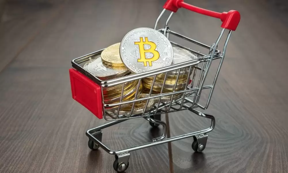 Portföy Savaşları: Ünlü Analistler Bitcoin’den Başka Hangi Kripto Paraları Tutuyor?