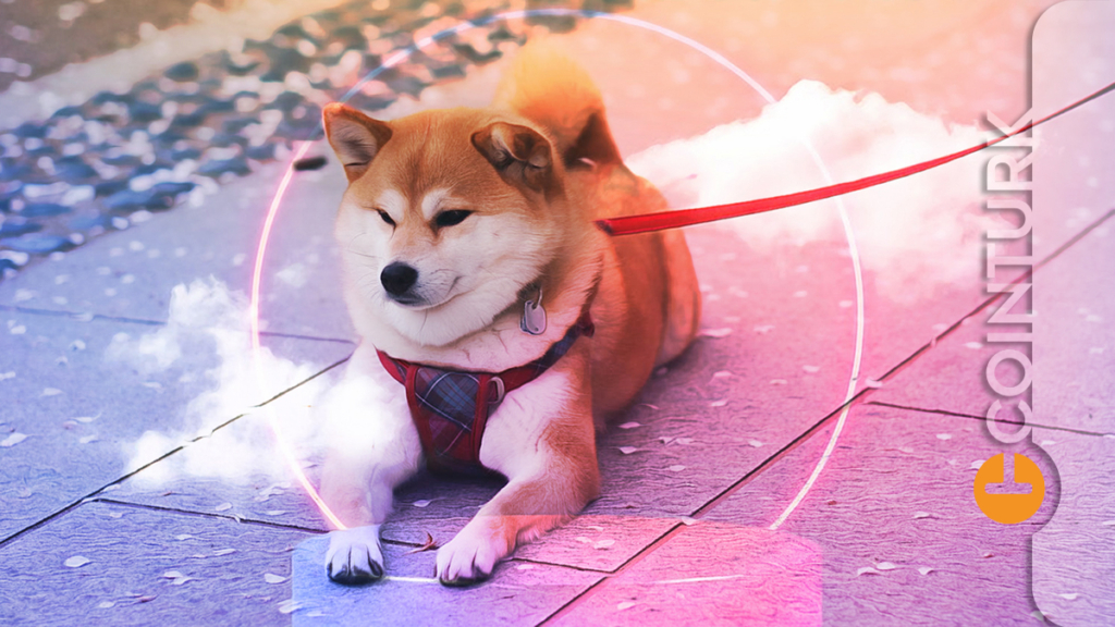 Robinhood CEO’sundan Shiba Inu Açıklaması! Shiba Inu Robinhood’da Listelenecek Mi?