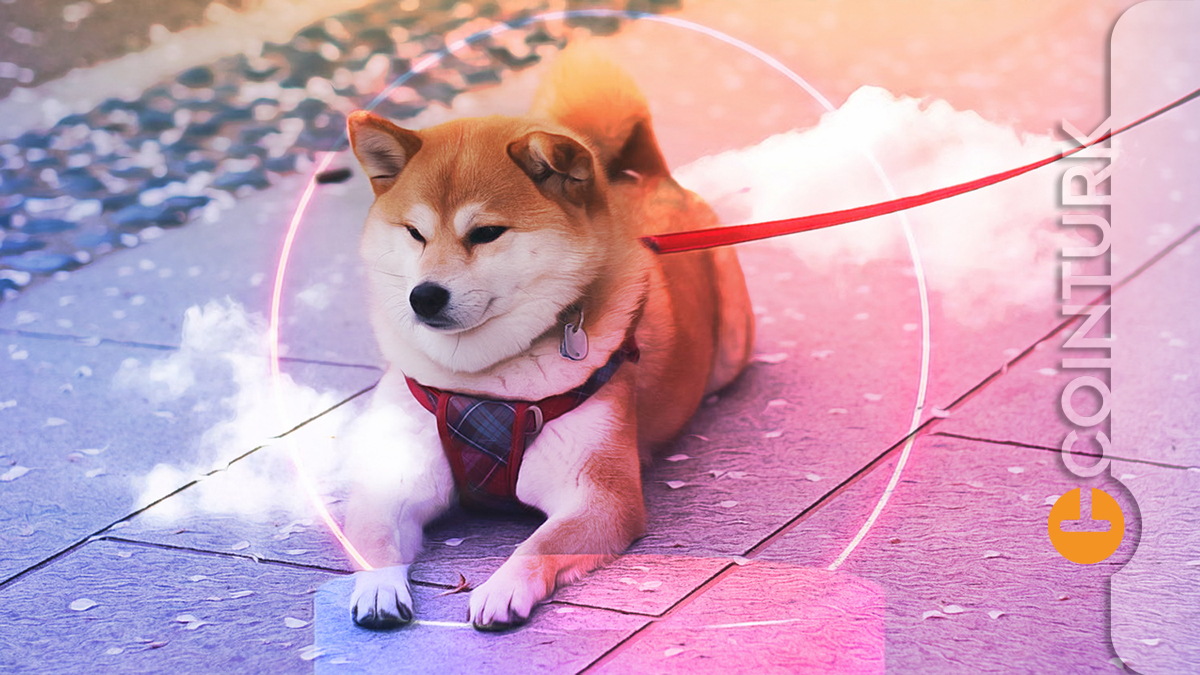 Robinhood CEO’sundan Shiba Inu Açıklaması! Shiba Inu Robinhood’da Listelenecek Mi?