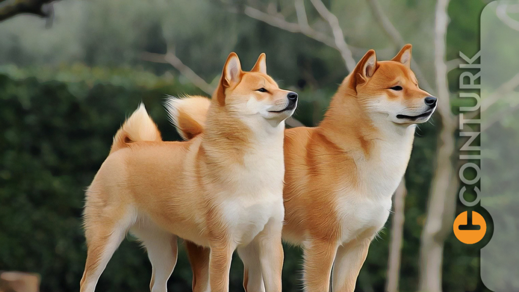 Şaka Kripto Paralar Nasıl Böyle Yükselişler Yakaladı? Shiba Inu ve Dogecoin Ralli Yorumları