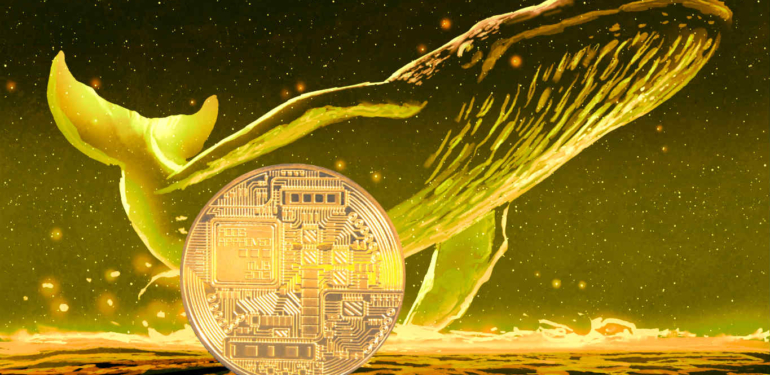 Santiment Bu 3 Altcoin’e Dikkat Çekti: Balinalar Biriktiriyor!