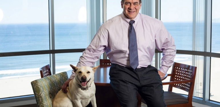 Scott Minerd, Shiba Inu (SHIB) Rallisini Kaçırdığı İçin Pişman Olduğunu Söyledi