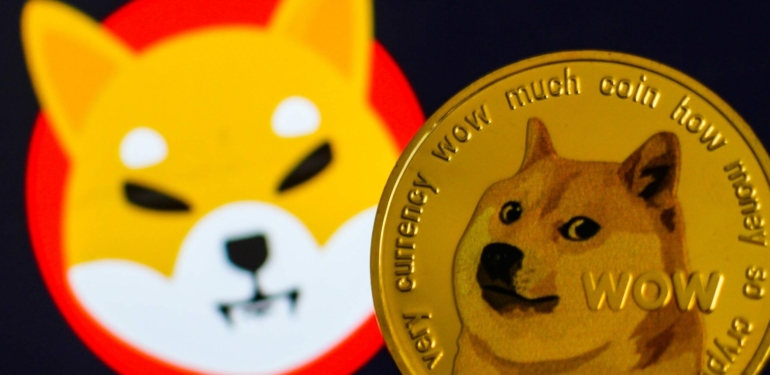 shib-nin-400-rallisi-kopek-temali-diger-meme-tokenlerine-de-sicrayabilir - Crypto Turkey SHIB’nin %400 rallisi, köpek temalı diğer “meme” tokenlerine de sıçrayabilir