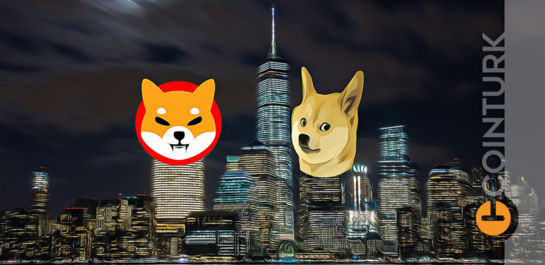 shib-ve-doge-fiyat-beklentileri-dudak-ucuklatiyor-bu-seviyeler-mumkun-mu - Crypto Turkey SHIB ve DOGE Fiyat Beklentileri Dudak Uçuklatıyor! Bu Seviyeler Mümkün Mü?