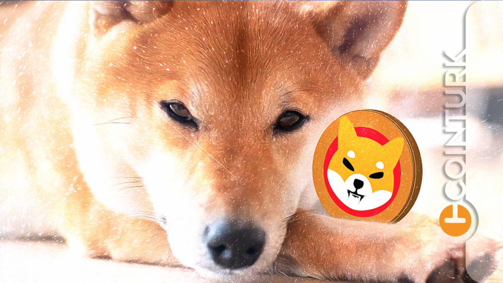 Shiba Inu’da (SHIB) Balinalar Oldukça Hareketli: Yeni Bir Yükseliş Dalgası Yakın Mı?