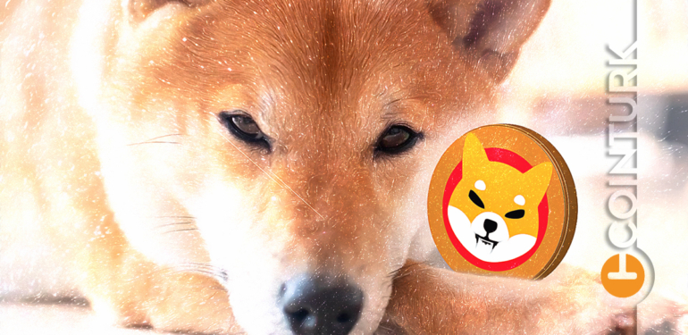 shiba-inu-da-shib-balinalar-oldukca-hareketli-yeni-bir-yukselis-dalgasi-yakin-mi - Crypto Turkey Shiba Inu’da (SHIB) Balinalar Oldukça Hareketli: Yeni Bir Yükseliş Dalgası Yakın Mı?