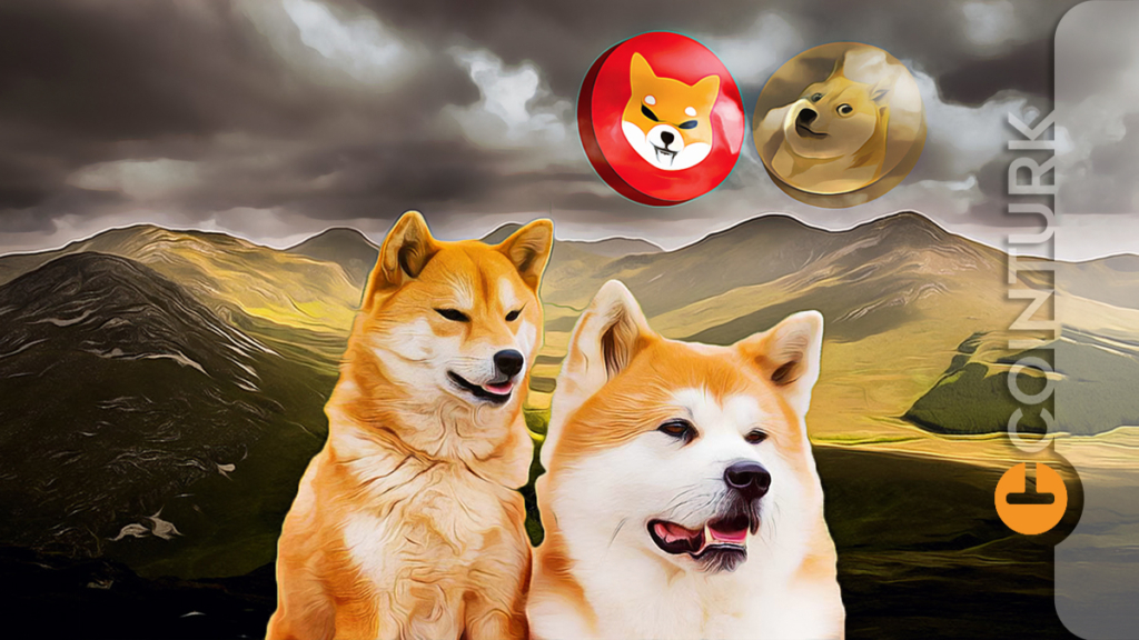 Shiba Inu (SHIB) Benzeri 16 Şaka Coin! Bol Sıfırlı ve Yüzde 1000 Fırsatları!