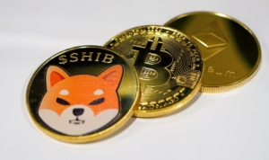 Shiba Inu (SHIB), BtcTurk | PRO’ya eklendi