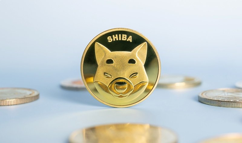 Shiba Inu (SHIB), Ethereum istatistiklerinde zirveye çıktı