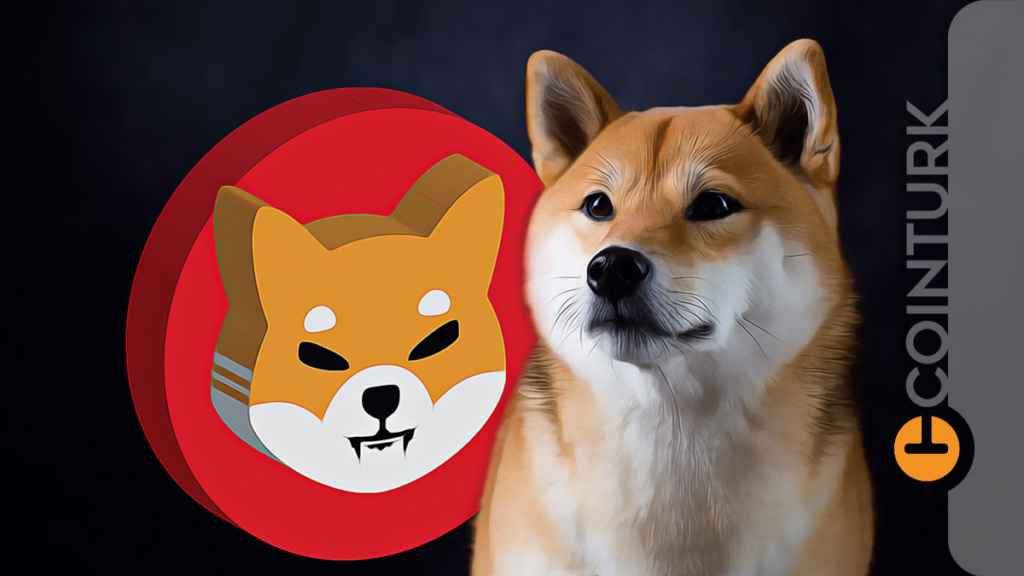 Shiba Inu (SHIB) Hangi Borsalarda Listeleniyor? Beklenen Borsa Listelemeleri