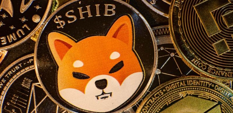 shiba-inu-shib-islem-oranlarinda-arayi-acti - Crypto Turkey Shiba Inu (SHIB), işlem oranlarında arayı açtı