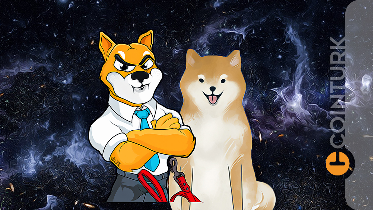 Shiba Inu (SHIB) Ya Da Dogecoin (DOGE) 1 Dolar Olabilecek Mi?