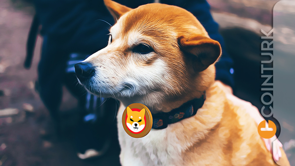 Shiba Inu Yorumları: SHIB Hareketli Saatler Yaşıyor, Uzmanların Görüşleri Ne Yönde?