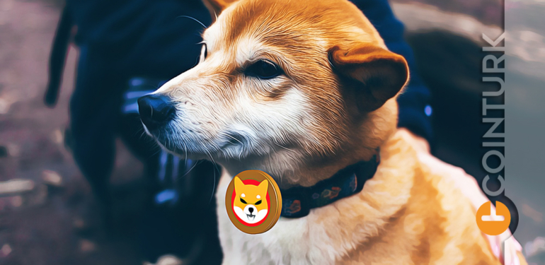 Shiba Inu Yorumları: SHIB Hareketli Saatler Yaşıyor, Uzmanların Görüşleri Ne Yönde?