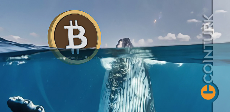 ucuncu-en-buyuk-bitcoin-balinasi-1-500-btc-satti-bu-ne-anlama-geliyor - Crypto Turkey Üçüncü En Büyük Bitcoin Balinası 1.500 BTC Sattı! Bu Ne Anlama Geliyor?
