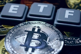 Valkyrie’nin Bitcoin ETF’inin Ticker’ı BTFD Olarak Değişiyor