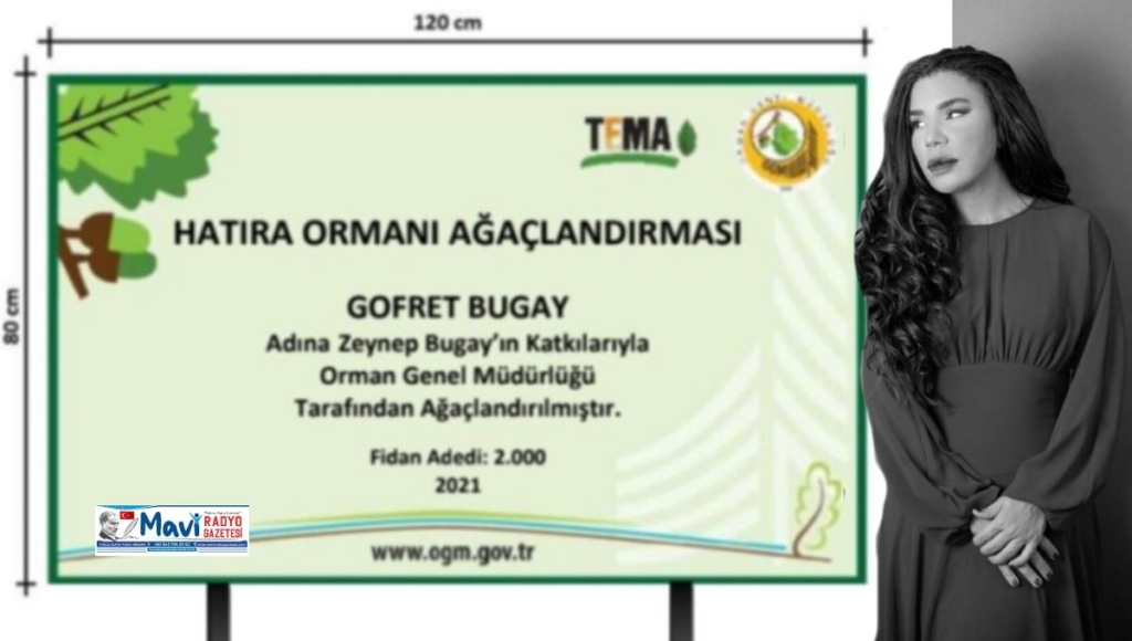 Yazar Zeynep Bugay, NFT’den Elde Ettiği Gelirle Hatıra Ormanı Yaptırıyor