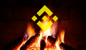 Yükseliş Sinyali Veren Binance Coin (BNB) Yakıma Hazırlanıyor!