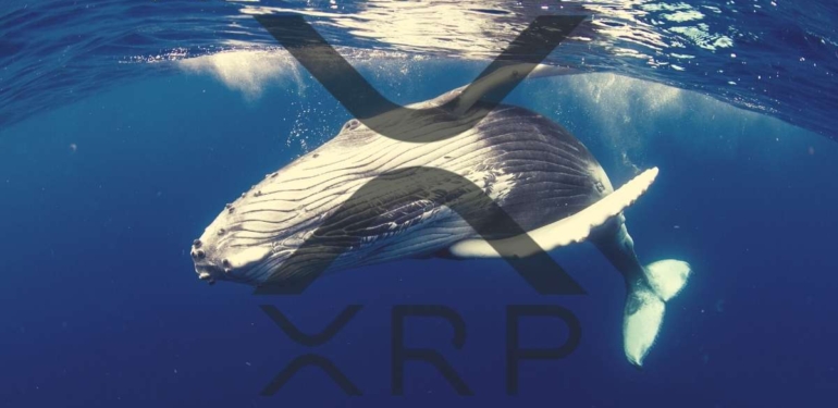 140 Milyon Dolarlık XRP, Cüzdanlar Arasında Taşındı