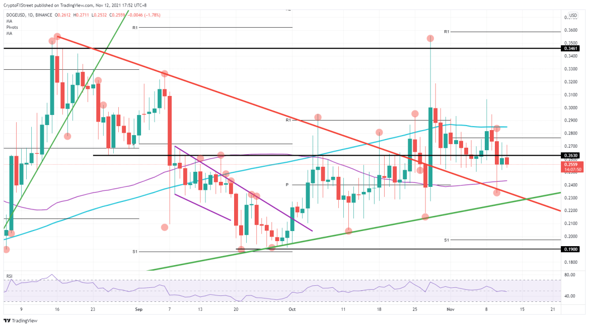 DOGE/USD daily chart