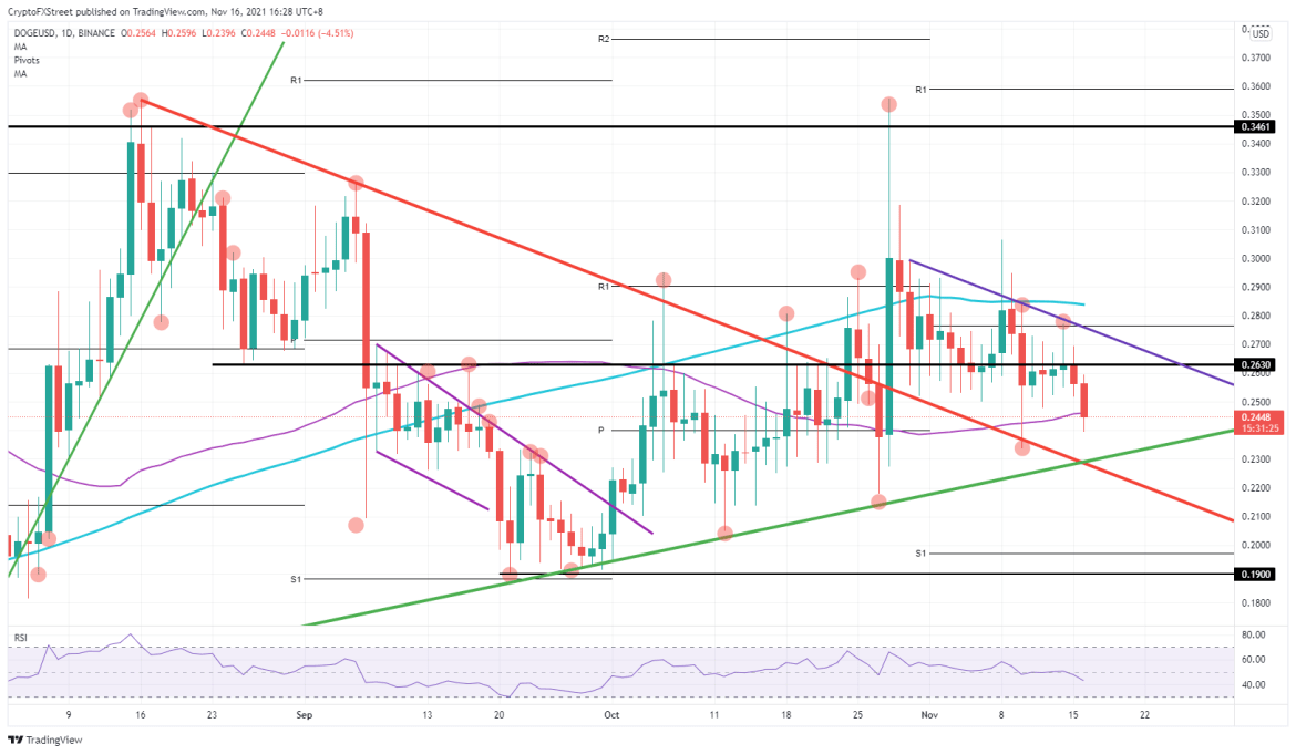 DOGE/USD daily chart