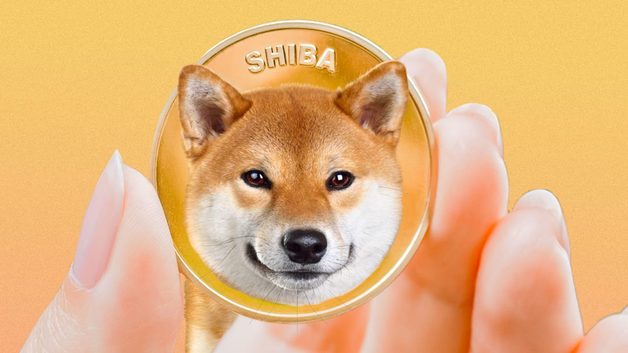 Analist Uyardı: Shiba Inu (SHIB) Yatırımcıları Şimdi Satış Yapmalı!