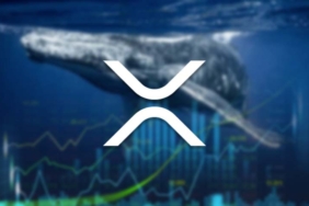Anonim Bir Cüzdan, Bithumb’a 100 Milyon Dolarlık XRP Aktardı