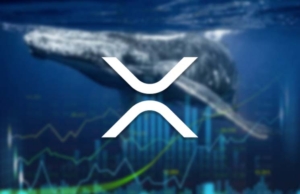 Anonim Bir Cüzdan, Bithumb’a 100 Milyon Dolarlık XRP Aktardı