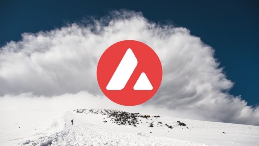 Avalanche (AVAX) Tüm Zamanların En Yüksek Seviyesine Ulaştı