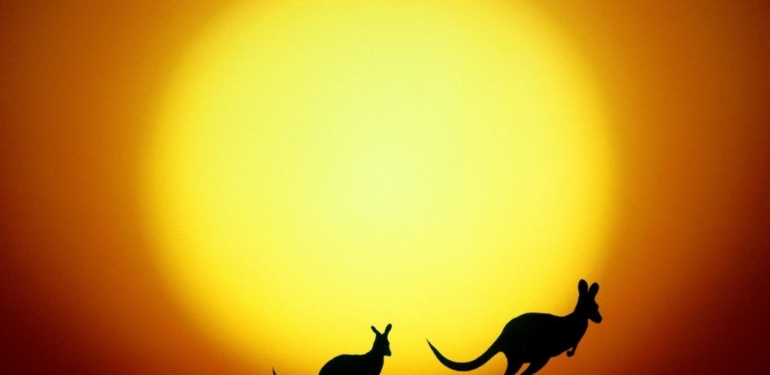 Avustralya “Bu Altcoin’ler Önemli” Dedi ama Diğerleri İçin Uyardı!