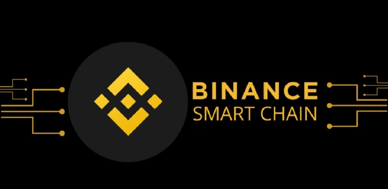 binance-chain-de-en-hizli-buyuyen-iki-kripto-para-projesi - Crypto Turkey Binance Chain’de En Hızlı Büyüyen İki Kripto Para Projesi