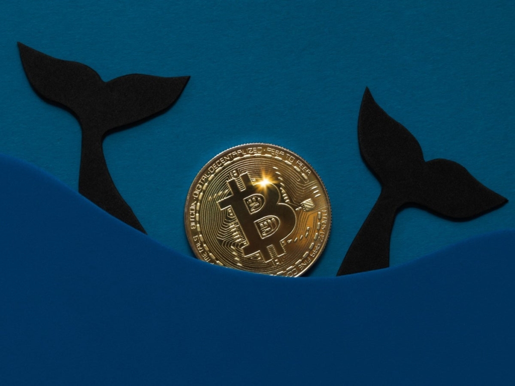 Bitcoin Balinaları Uyandı: Borsalara Yüzmilyonluk BTC’ler Aktı!
