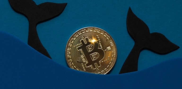 Bitcoin Balinaları Uyandı: Borsalara Yüzmilyonluk BTC’ler Aktı!