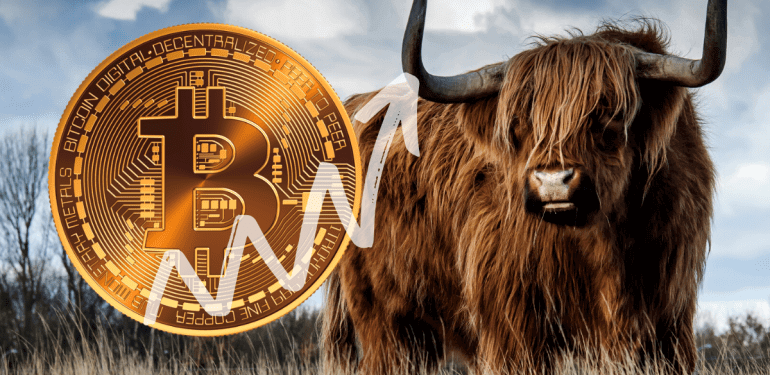 bitcoin-boga-piyasasinda-sonun-baslangici-olabilir-mi - Crypto Turkey Bitcoin boğa piyasasında sonun başlangıcı olabilir mi?