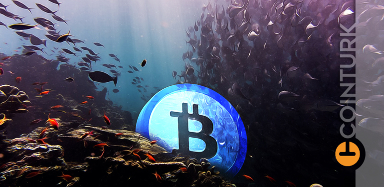 bitcoin-btc-in-en-buyuk-gizemine-cevap-arayan-dava-basladi - Crypto Turkey Bitcoin (BTC)’in En Büyük Gizemine Cevap Arayan Dava Başladı!
