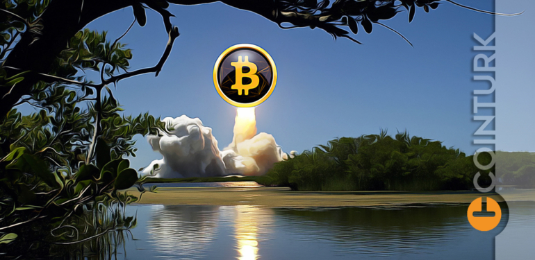 Bitcoin’de Yeni Rekor: Lider Artık 67.000 Dolar!