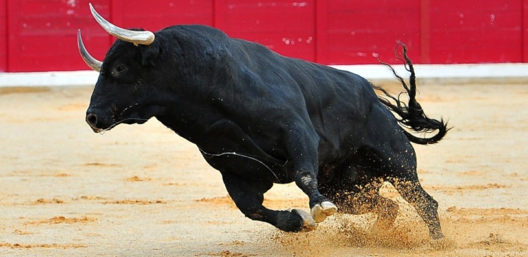 Bitcoin, ETH, SHIB Çakılırken Bu 5 Altcoin Boğa Koşusunda!