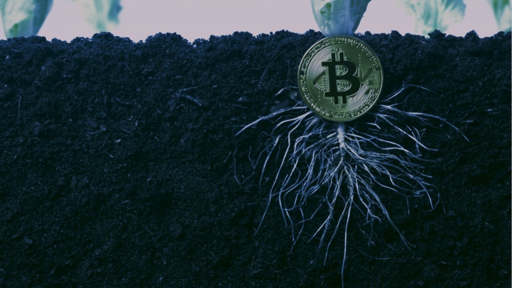 Bitcoin’in (BTC) Uzun Zamandır Beklenen Taproot Güncellemesi Gerçekleşti