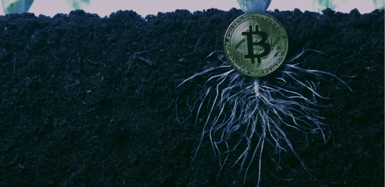 bitcoin-in-btc-uzun-zamandir-beklenen-taproot-guncellemesi-gerceklesti - Crypto Turkey Bitcoin’in (BTC) Uzun Zamandır Beklenen Taproot Güncellemesi Gerçekleşti