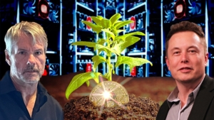 Bitcoin Milyarderinden, Elon Musk’a Kripto Para Tavsiyesi!
